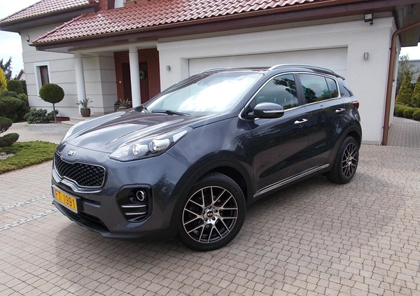 Kia Sportage cena 59800 przebieg: 133000, rok produkcji 2016 z Leszno małe 781